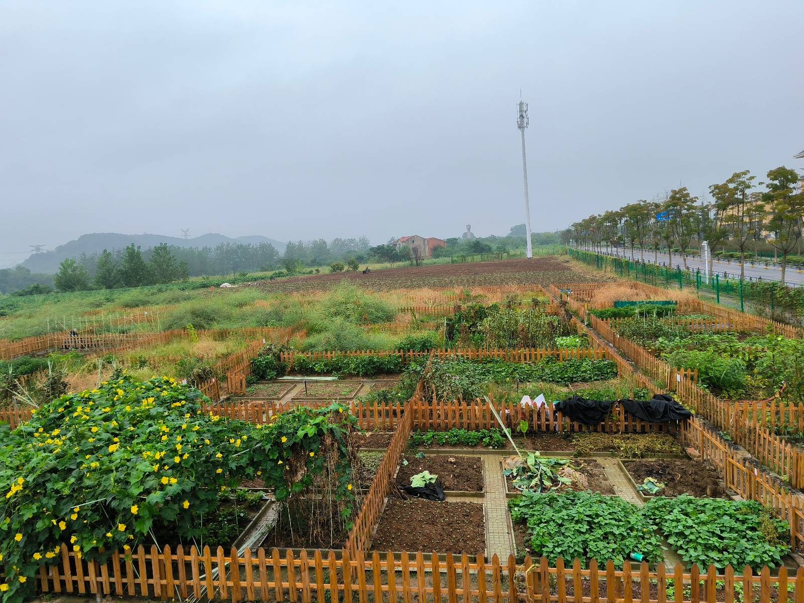 “漢(hàn)超”来了个村(cūn)支书：6年前(qián)他(tā)带村(cūn)民辦(bàn)“村(cūn)超”