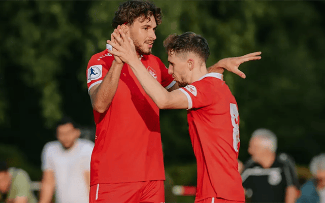 德甲(jiǎ)：霍(huò)芬海(hǎi)姆表现跳跃，海(hǎi)登海(hǎi)默状态尴尬